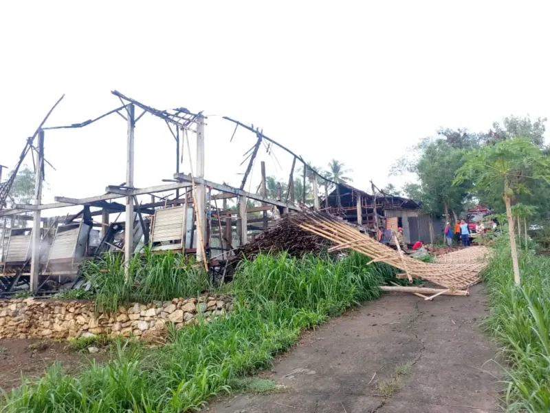 Kondisi kandang ayam di Desa Tubokarto, Kecamatan Pracimantoro, Wonogiri, mengalami kebakaran, Senin, 4 November 2024 (Dok. Solopos)