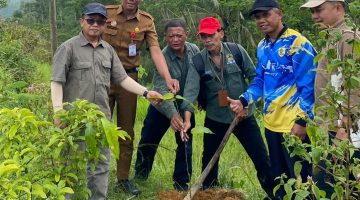 Penanaman 350 Bibit Pohon di SMP Negeri 4 Karangtengah Wujud Kepedulian Lingkungan